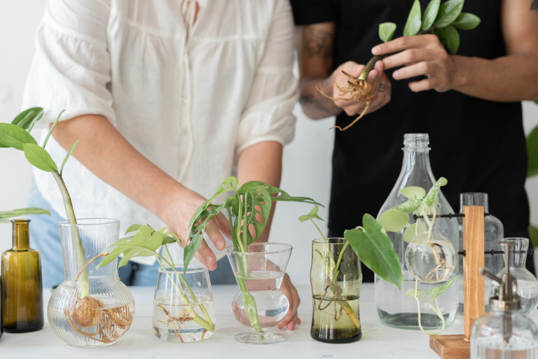 Plant Chat® – User Experience