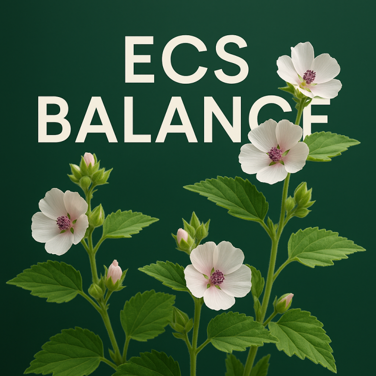 How the Marshmallow plant helps the Master Regulator, our ECS